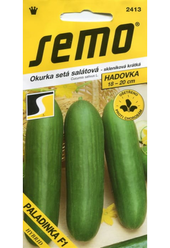 Salad cucumber "Paladinka" F1