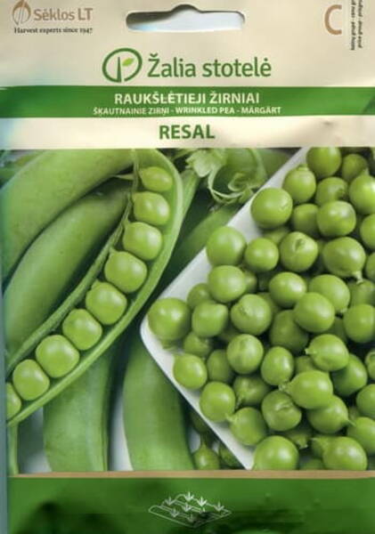 Round pea "Resal"