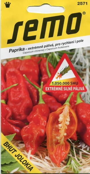 Hot pepper "Bhut Jolokia"