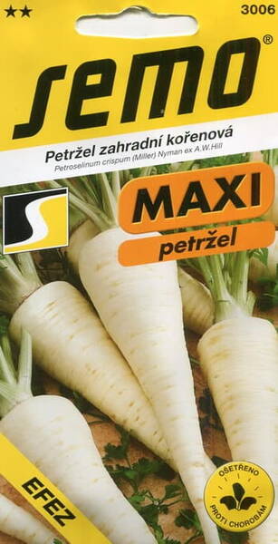 Root parsley "Efez"