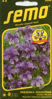 Spike phacelia "Fiona" (Blue curls)