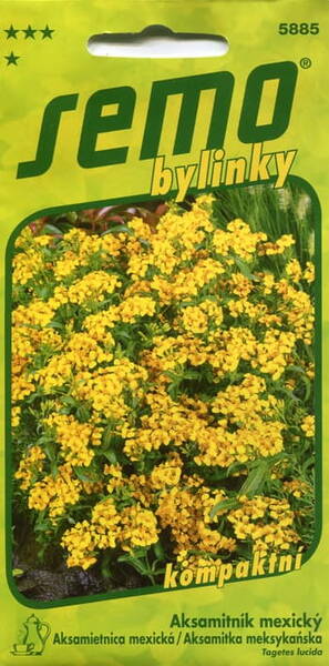 Бархатцы лучистые "Мексиканский эстрагон" (Tagetes lucida)