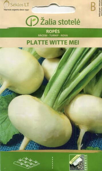 Turnip "Platte Witte Mei"