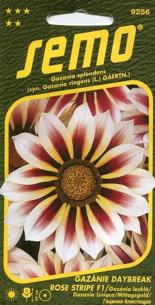 Gasaania sädelev "Daybreak Rose Stripe" F1