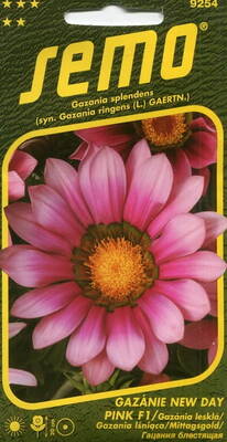 Gazania "New Day Pink" F1 (Treasureflower)