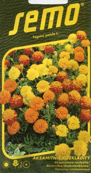 French marigold dwarf "Petite" (mix)