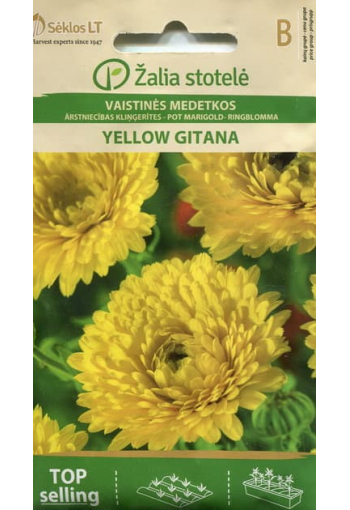 Ringblomma "Yellow Gitana" (solsocka)