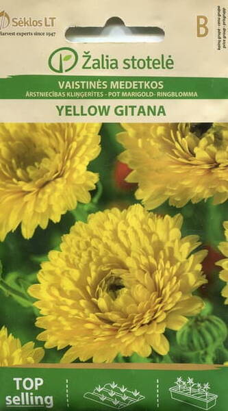 Saialill "Yellow Gitana"