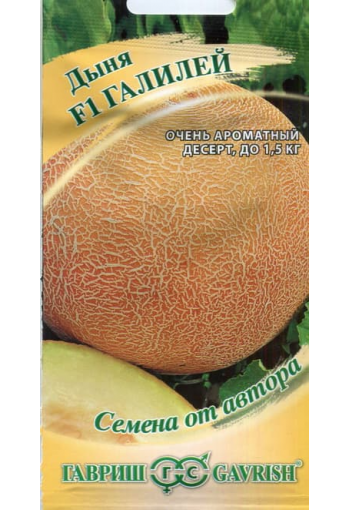Melon "Galileo" F1
