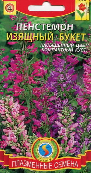 Beardlip penstemon