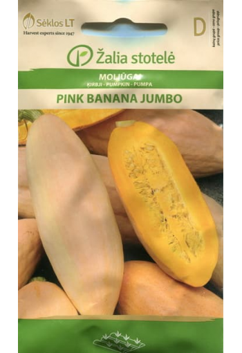 Jättepumpa "Pink Banana Jumbo"