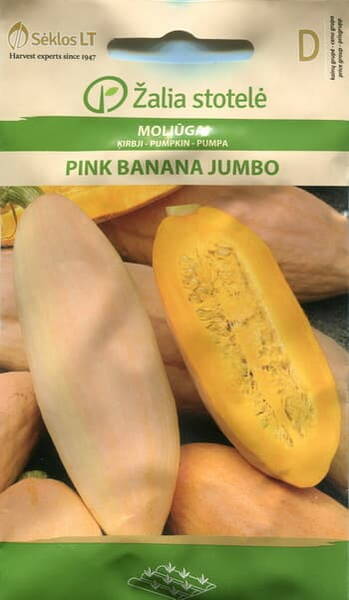 Jättepumpa "Pink Banana Jumbo"