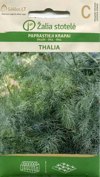 Dill "Thalia"