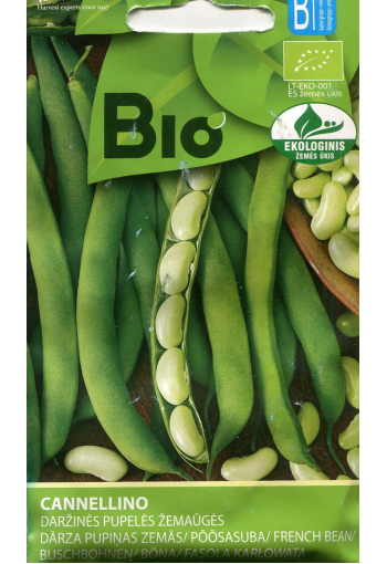 French bean "Cannellino"