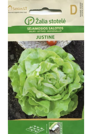 Head lettuce "Justine"