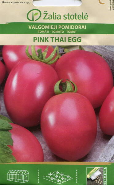 Tomato "Pink Thai Egg"