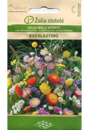 Mix of hight annuals "Everlasting"