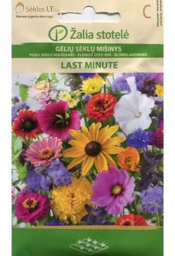 Annual flowers mix "Last minute"