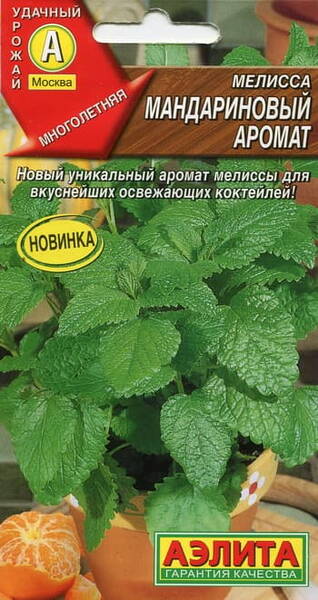 Lemon balm mint "Mandarinovy aromat"