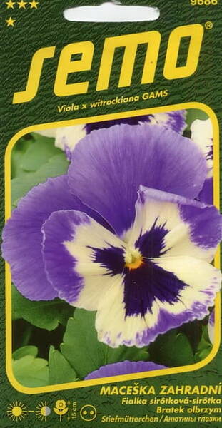 Garden pansy "Glacier ice violet-white"