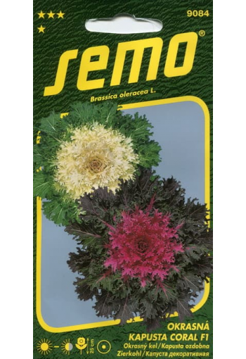Flowering Cabbage "Coral" F1