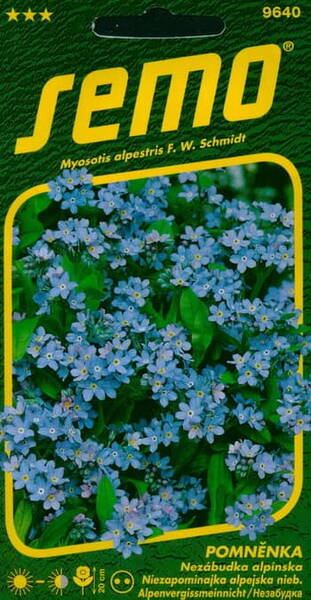 Alpine Forget-Me-Not "Blue"