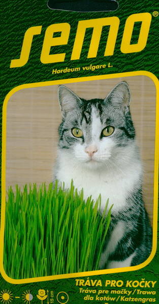 Gräs för katter "Francin"