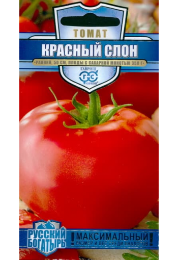 Tomato "Krasny Slon"