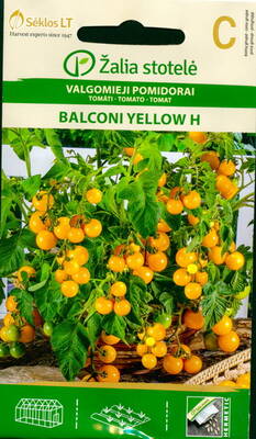 Tomato "Balcony Yellow" F1