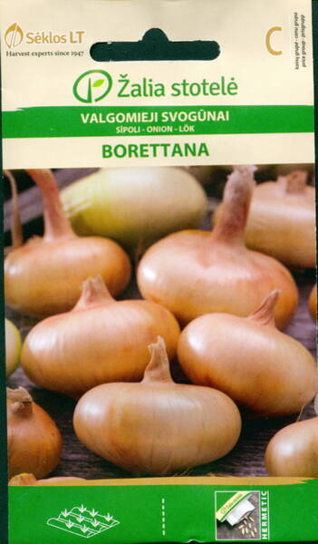 Onion "Borettana"