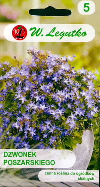 Колокольчик Пожарского Campanula poscharskyana