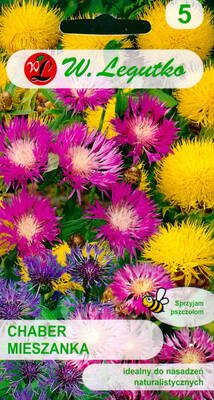 Bighead knapweed (globe cornflower, mix)