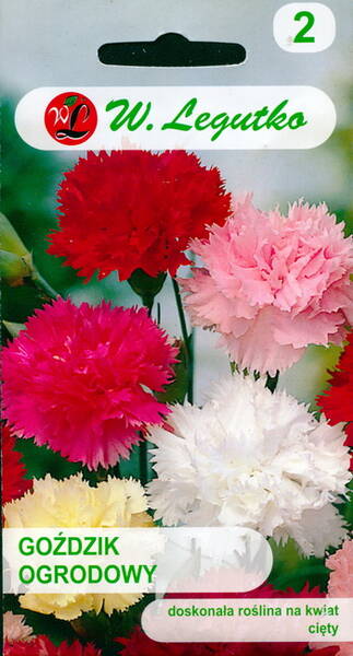 Border carnation (Clove pink, mix) 