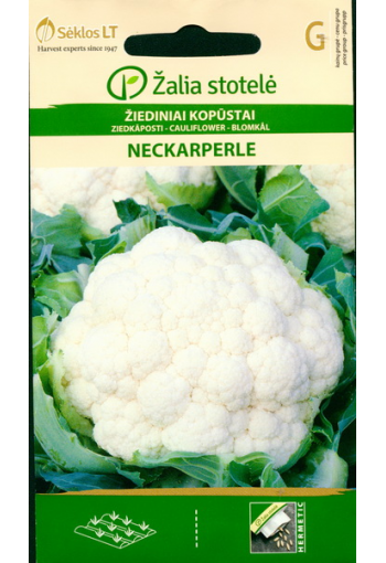 Cauliflower "Neckarperle"