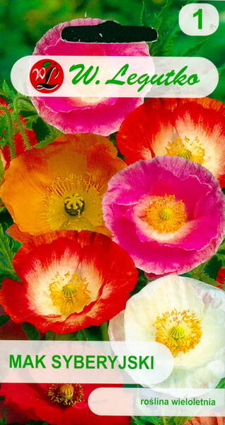 Iceland Poppy (arctic poppy) mix