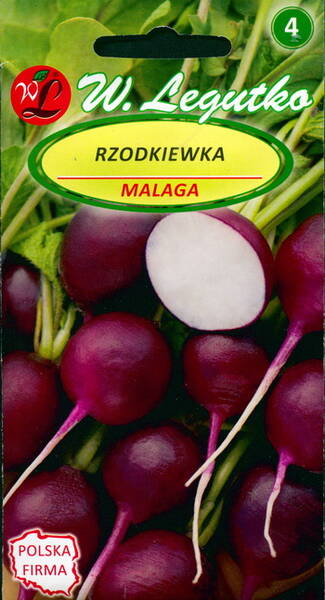 Radish "Malaga"