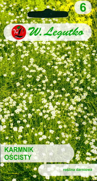 Мшанка шиловидная "Ирландский мох"