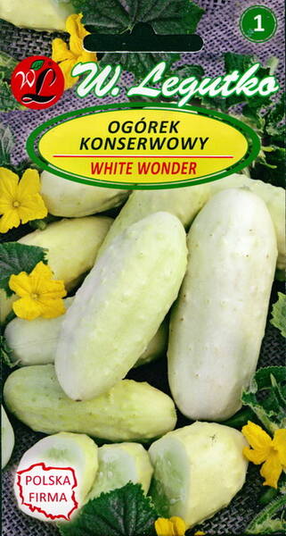 Kurk "White Wonder"