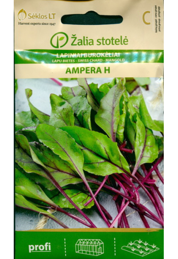 Spinach beet "Ampera" F1