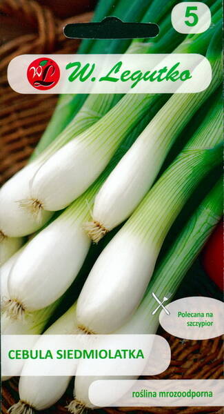 Welsh onion "Siedmiolatka" (wintry green onion)