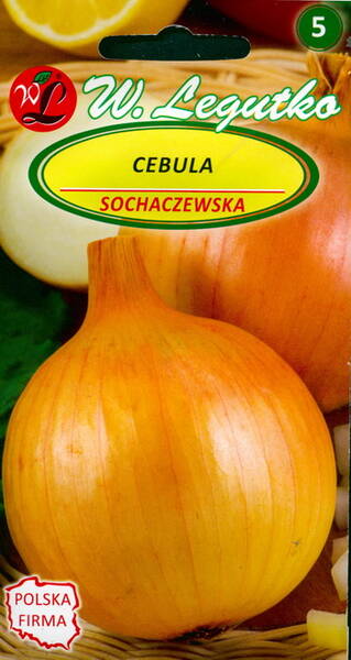 Onion "Sochaczewska"