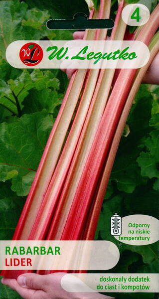 Rhubarb "Lider"