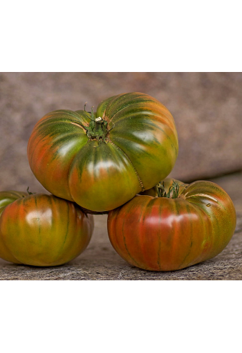 Tomat "Wild Thyme"