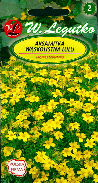 Kääpiösamettikukka "Lulu yellow-lemon"