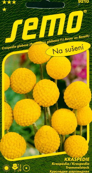 Kerajas varblill "Billy Buttons"