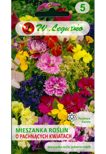 "Fragrance mix" - en blandning av doftande årliga blommor