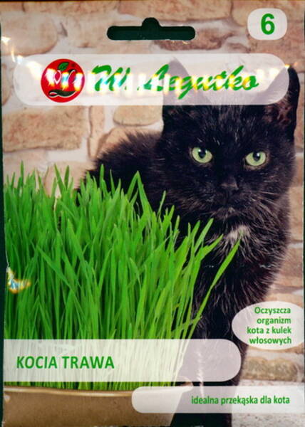 Grass for Cats