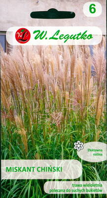 Мискантус китайский (веерник, китайский камыш) Miscanthus sinensis