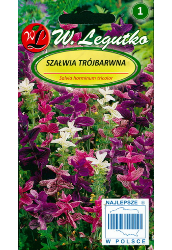 Broksalvia Horminum tricolor mix