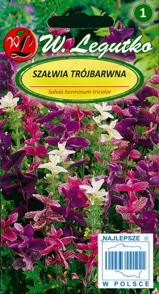 Broksalvia Horminum tricolor mix